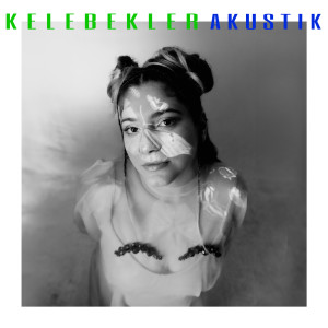 Listen to Kelebekler (Akustik) song with lyrics from Elif Kozan