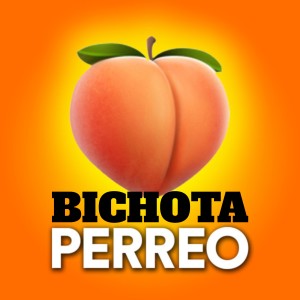 ดาวน์โหลดและฟังเพลง Bichota พร้อมเนื้อเพลงจาก Dj Perreo