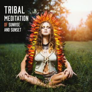ดาวน์โหลดและฟังเพลง Self-Healing พร้อมเนื้อเพลงจาก Shamanic Drumming World