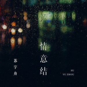 Listen to 情意结 (伴奏) song with lyrics from 苏宇舟