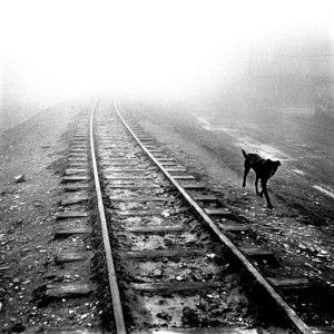 Listen to Train Trax song with lyrics from BATESY