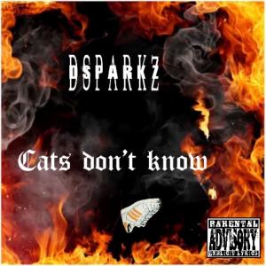 Dsparkz的專輯Cats Dont Know (Explicit)