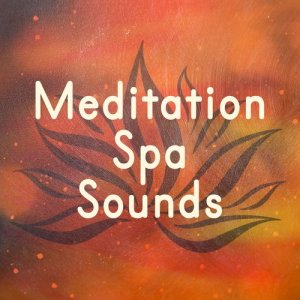 Deep Sleep Specialists的專輯Meditation Spa Sounds