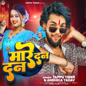 Listen to Mare Dan Dan song with lyrics from Tappu Tiger
