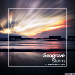 Listen to Storm (Harold-Alexis Remix) song with lyrics from Seagrave