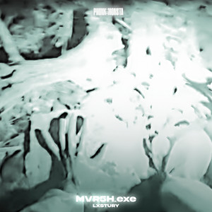 LXSTURY的專輯MVR5H_exe