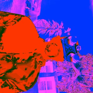 Listen to Vamp Nana (Explicit) song with lyrics from DANIXIR