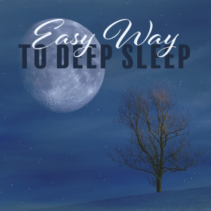 ดาวน์โหลดและฟังเพลง Sleep Therapy พร้อมเนื้อเพลงจาก Relaxation Zone