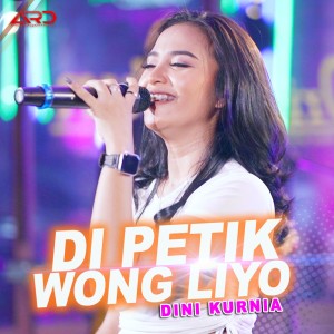 Dengarkan Di Petik Wong Liyo lagu dari Dini Kurnia dengan lirik