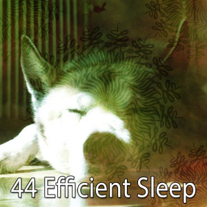 Listen to Dream Lullaby song with lyrics from Einstein Baby Lullaby Academy