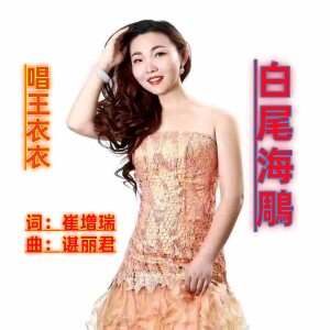 Album 白尾海雕 from 王衣衣