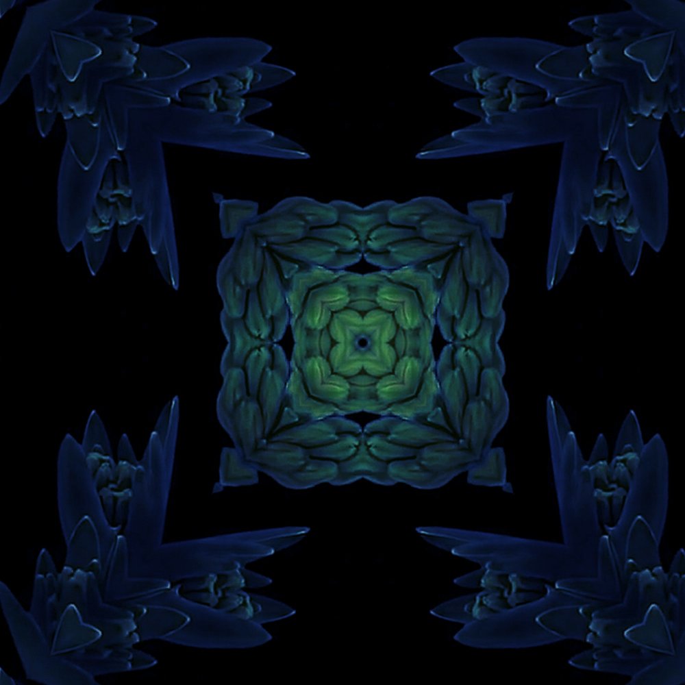 Tapestries Of Lives