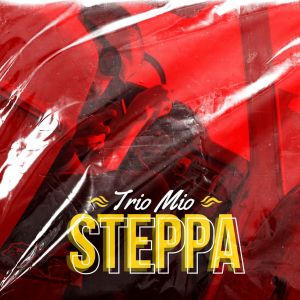 Listen to Steppa song with lyrics from Trio Mio