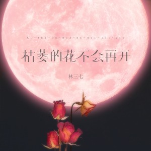 Listen to 枯萎的花不会再开 song with lyrics from 林三七
