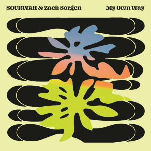 อัลบัม My Own Way ศิลปิน Zach Sorgen