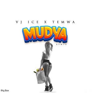 อัลบัม Mudya (Remix) ศิลปิน Vj Ice