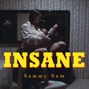 沈震轩的专辑Insane