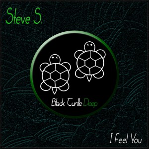 Album I Feel You from Steve S.