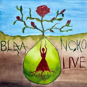 BLAA的專輯Noko live (Live frå Gislaved Studio)