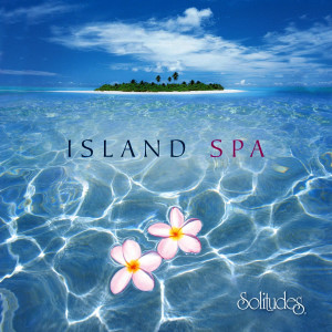 ดาวน์โหลดและฟังเพลง Garden of Wonder พร้อมเนื้อเพลงจาก Dan Gibson's Solitudes