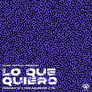 Listen to Lo Que Quiero song with lyrics from Pipe Calderón