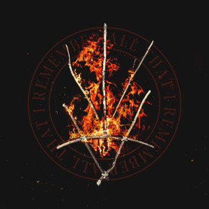 收聽The Amity Affliction的All That I Remember歌詞歌曲