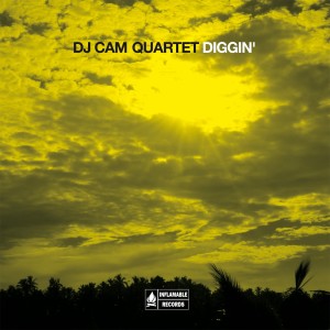 Dengarkan lagu You've Got to Have Freedom (Single Version) nyanyian DJ Cam dengan lirik