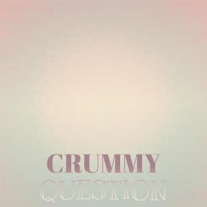 Various Artists的专辑Crummy Question