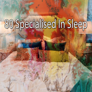 80 Specialised In Sleep