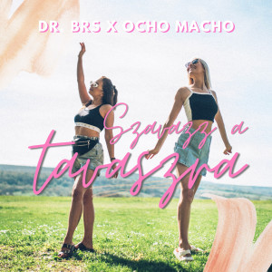 ดาวน์โหลดและฟังเพลง Szavazz a tavaszra พร้อมเนื้อเพลงจาก DR BRS