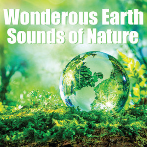 Natural Sounds的專輯Wonderous Earth: Sounds of Nature
