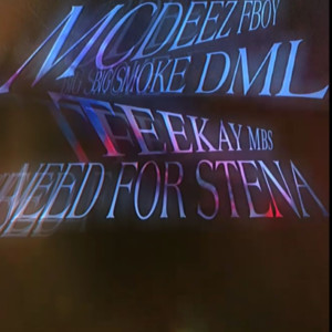 Mcdeez Fboy的專輯Need For Stena