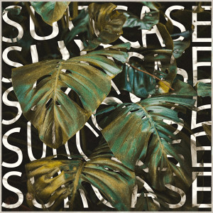 ดาวน์โหลดและฟังเพลง Suitcase พร้อมเนื้อเพลงจาก Howiewonder