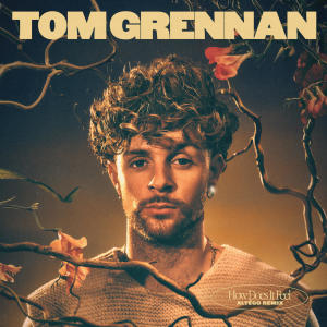 ดาวน์โหลดและฟังเพลง How Does It Feel (ALTÉGO Remix) พร้อมเนื้อเพลงจาก Tom Grennan