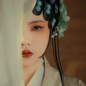 Listen to 一念（青衣版） (完整版) song with lyrics from 张媛媛