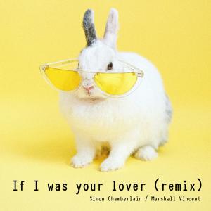 Simon Chamberlain的專輯If I Was Your Lover (feat. Marshall Vincent) [Recompose]