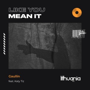 Gaullin的專輯Like You Mean It