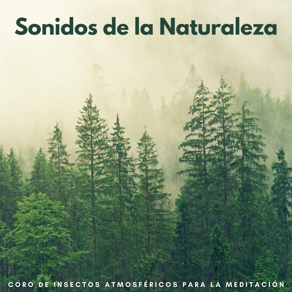 Coro De Insectos De La Naturaleza