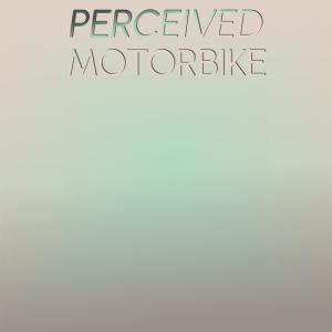 Various的专辑Perceived Motorbike