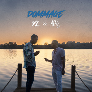 Album Dommage from YL