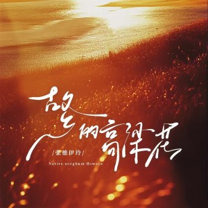 Album 故乡的高粱花 from 张德伊玲