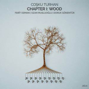 Listen to Wispy Willow song with lyrics from Coşku Turhan