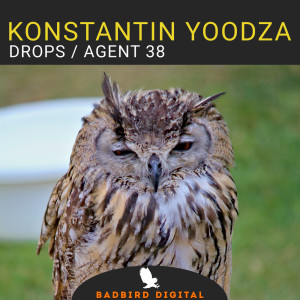 收聽Konstantin Yoodza的Drops歌詞歌曲