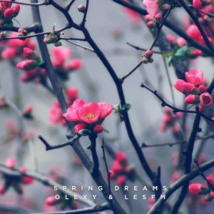 收聽Olexy的Spring Dreams歌詞歌曲