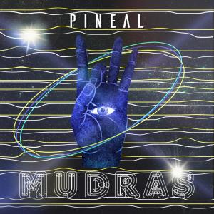 Listen to Vayu song with lyrics from Pineal