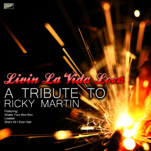 收聽Ameritz Tribute Club的Livin La Vida Loca歌詞歌曲