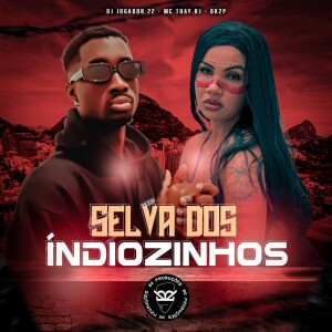 Listen to SELVA DOS ÍNDIOZINHO (Explicit) song with lyrics from DJ JOGADOR 22