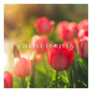 ดาวน์โหลดและฟังเพลง This I Believe (The Creed) พร้อมเนื้อเพลงจาก Maranatha! Music