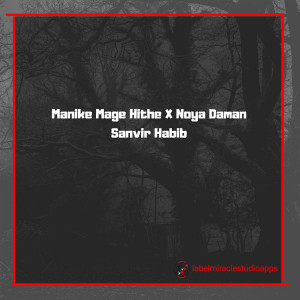 Listen to Manike Mage Hithe X Noya Daman (Lofi Flip) song with lyrics from Sanvir Habib