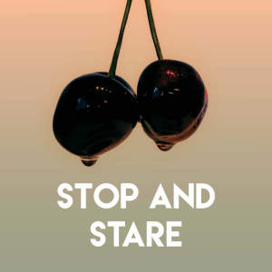 Dengarkan Stop and Stare lagu dari Stereo Avenue dengan lirik